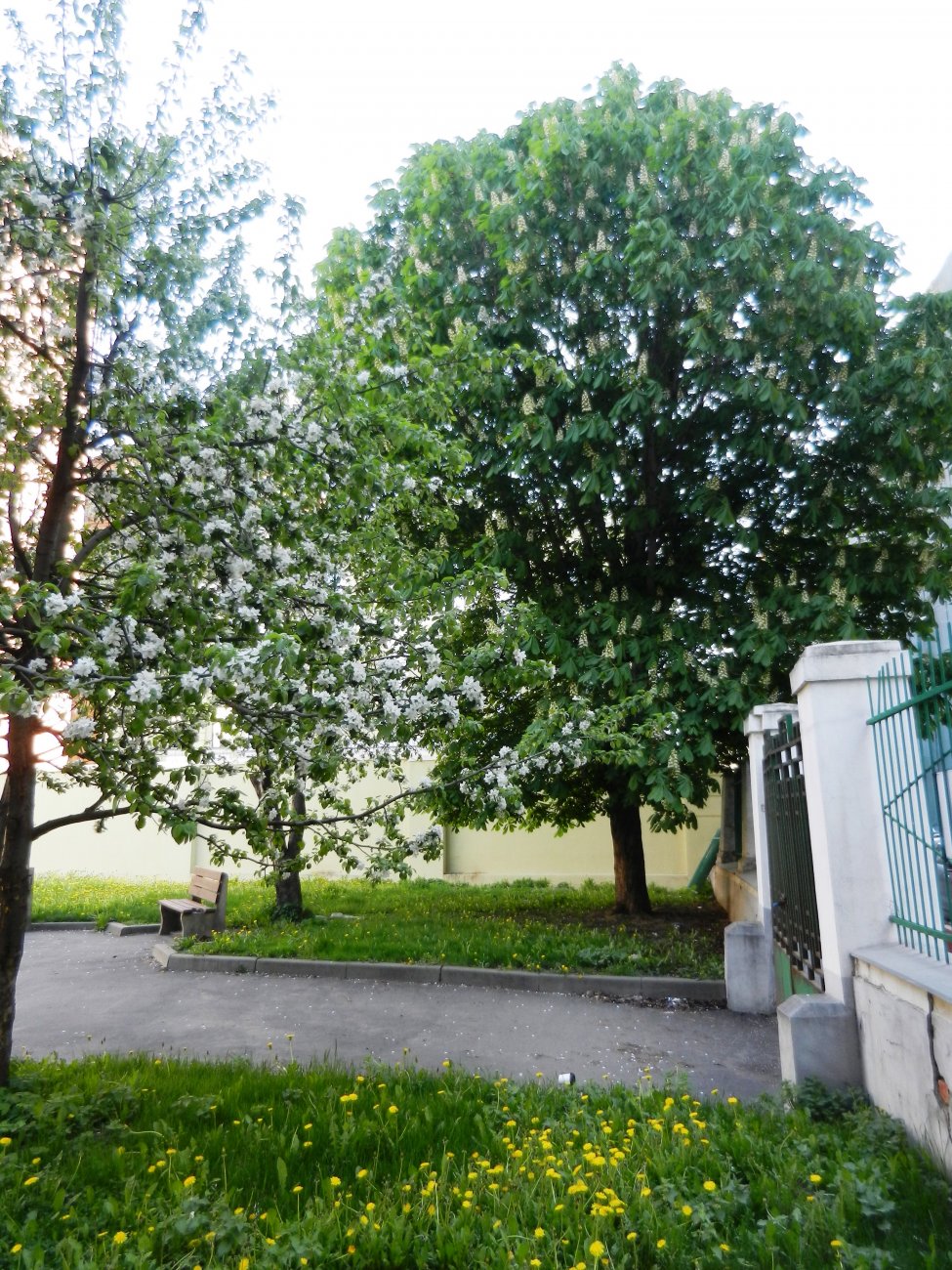 DSCN2780.JPG