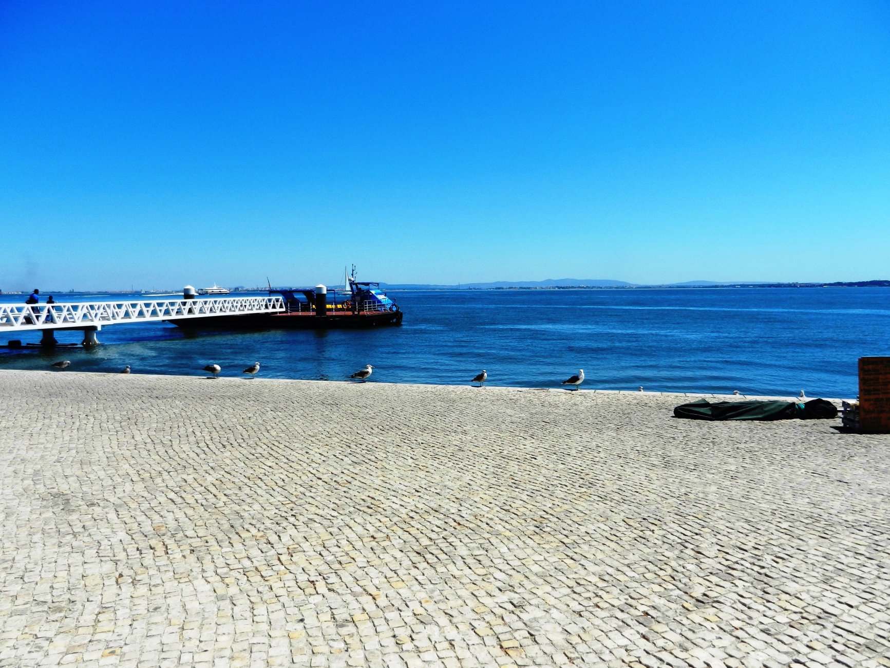 DSCN2954.jpg