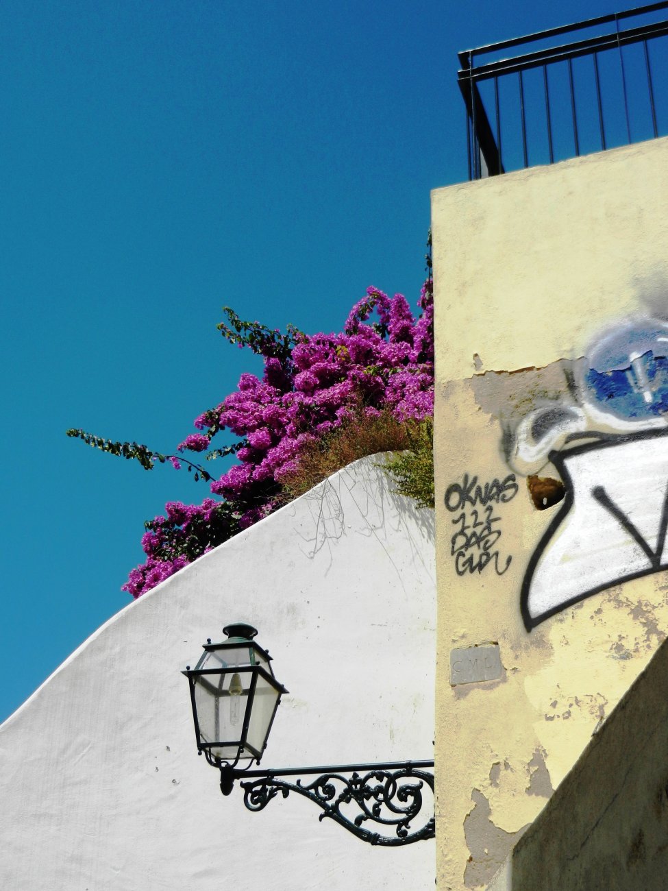 DSCN3005.jpg