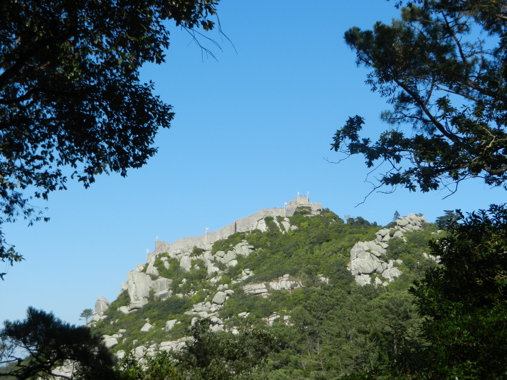 DSCN3320.JPG