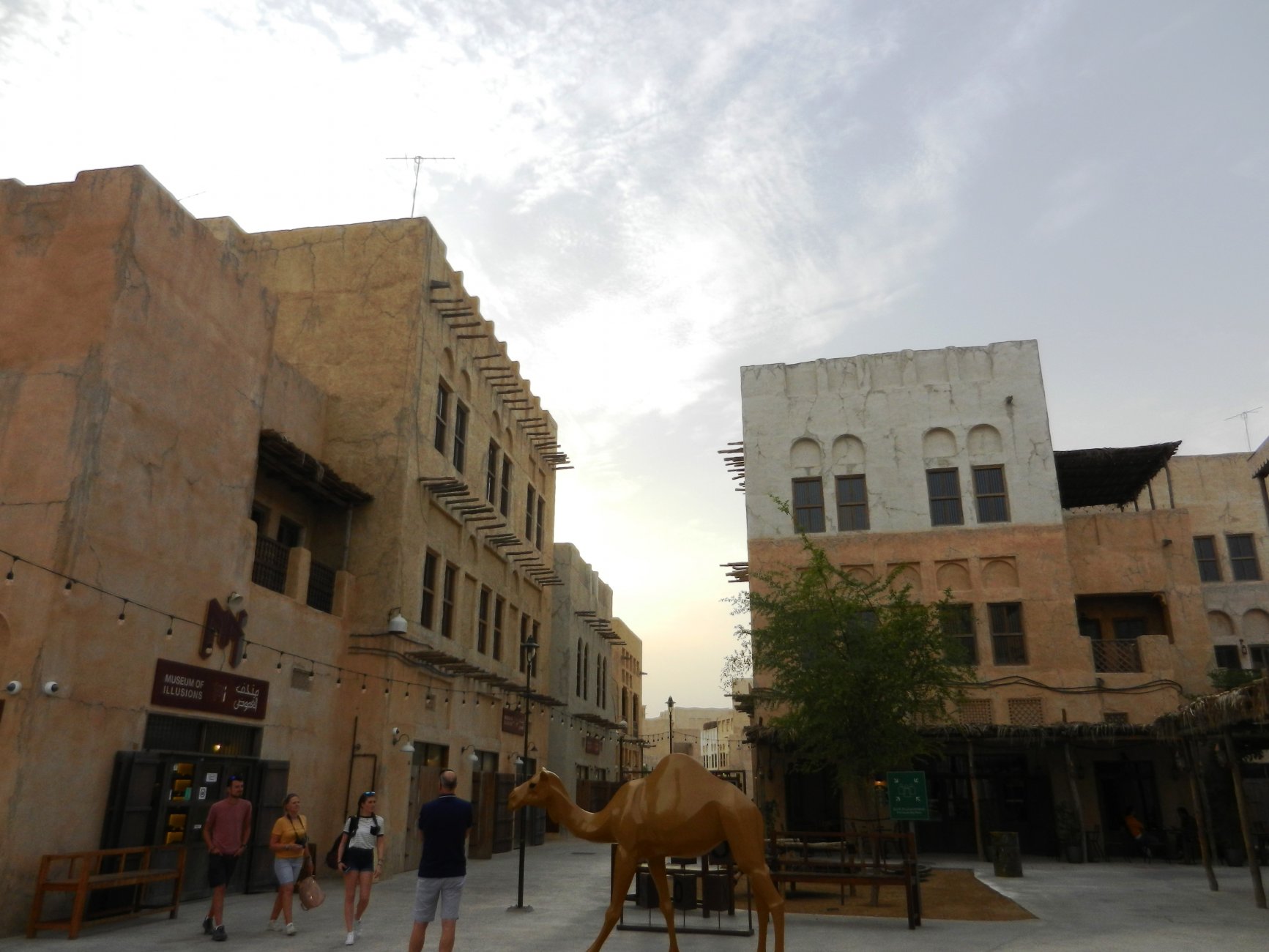 DSCN3689.JPG