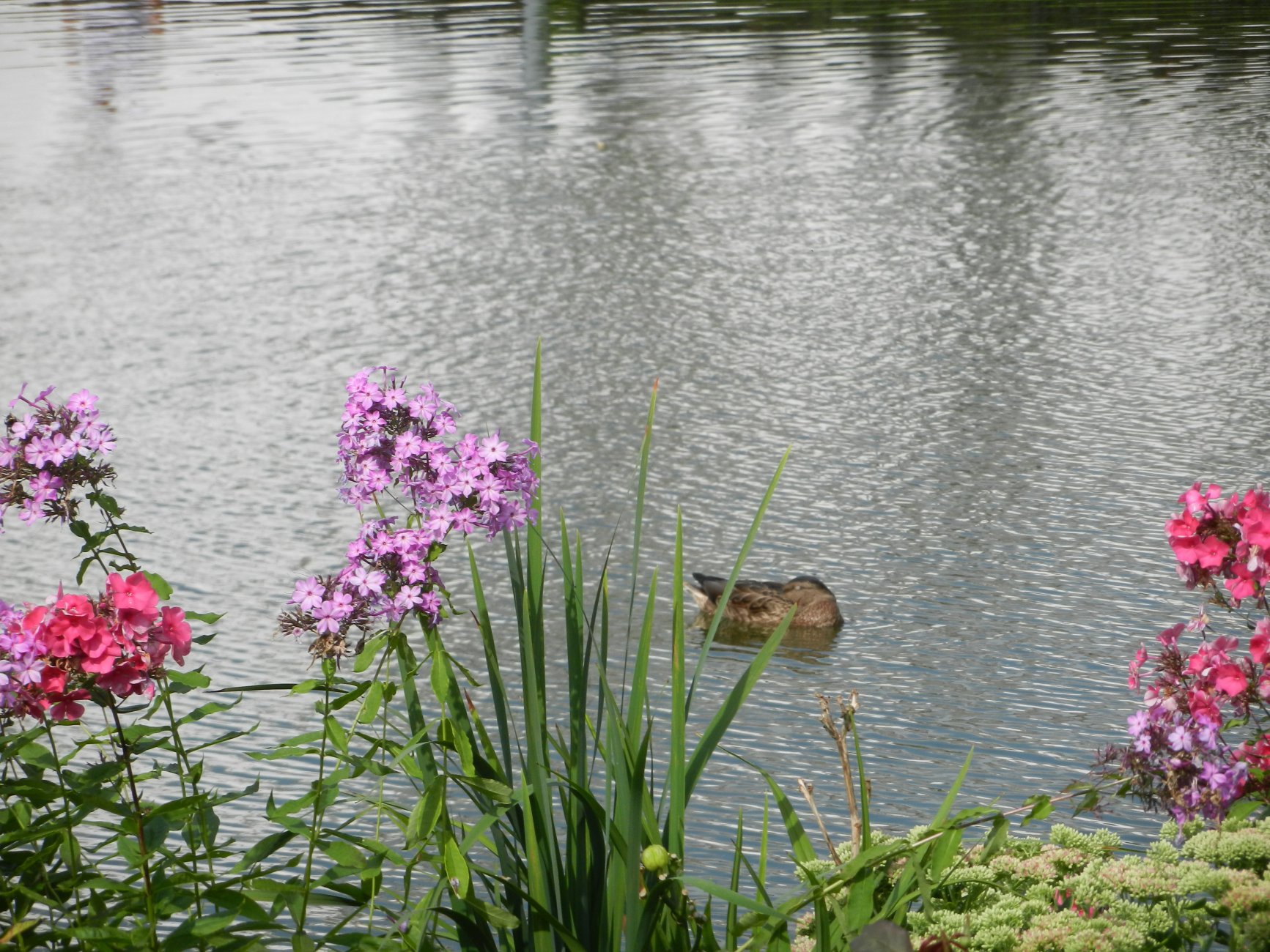 DSCN9771.JPG