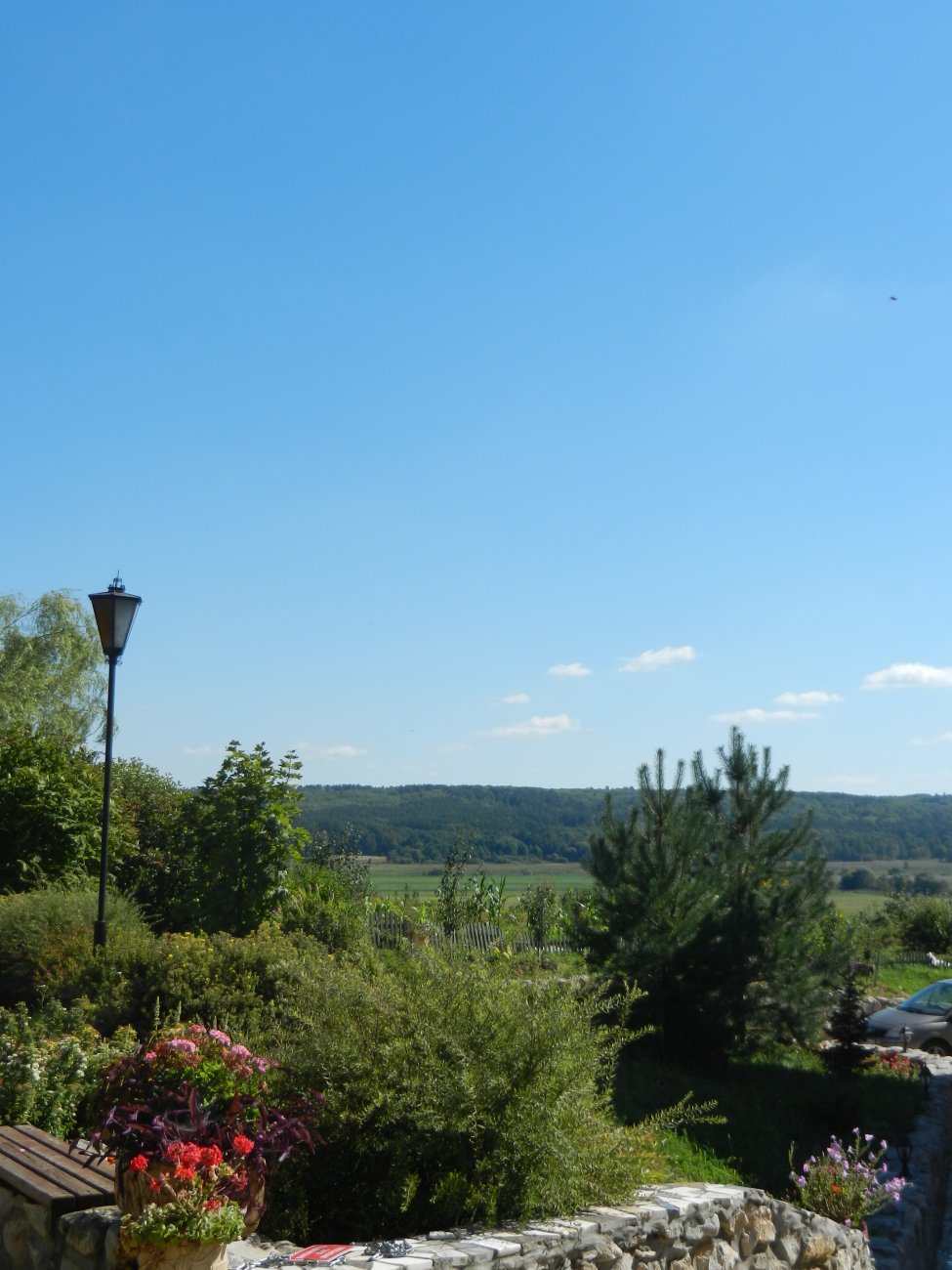 DSCN9777.JPG