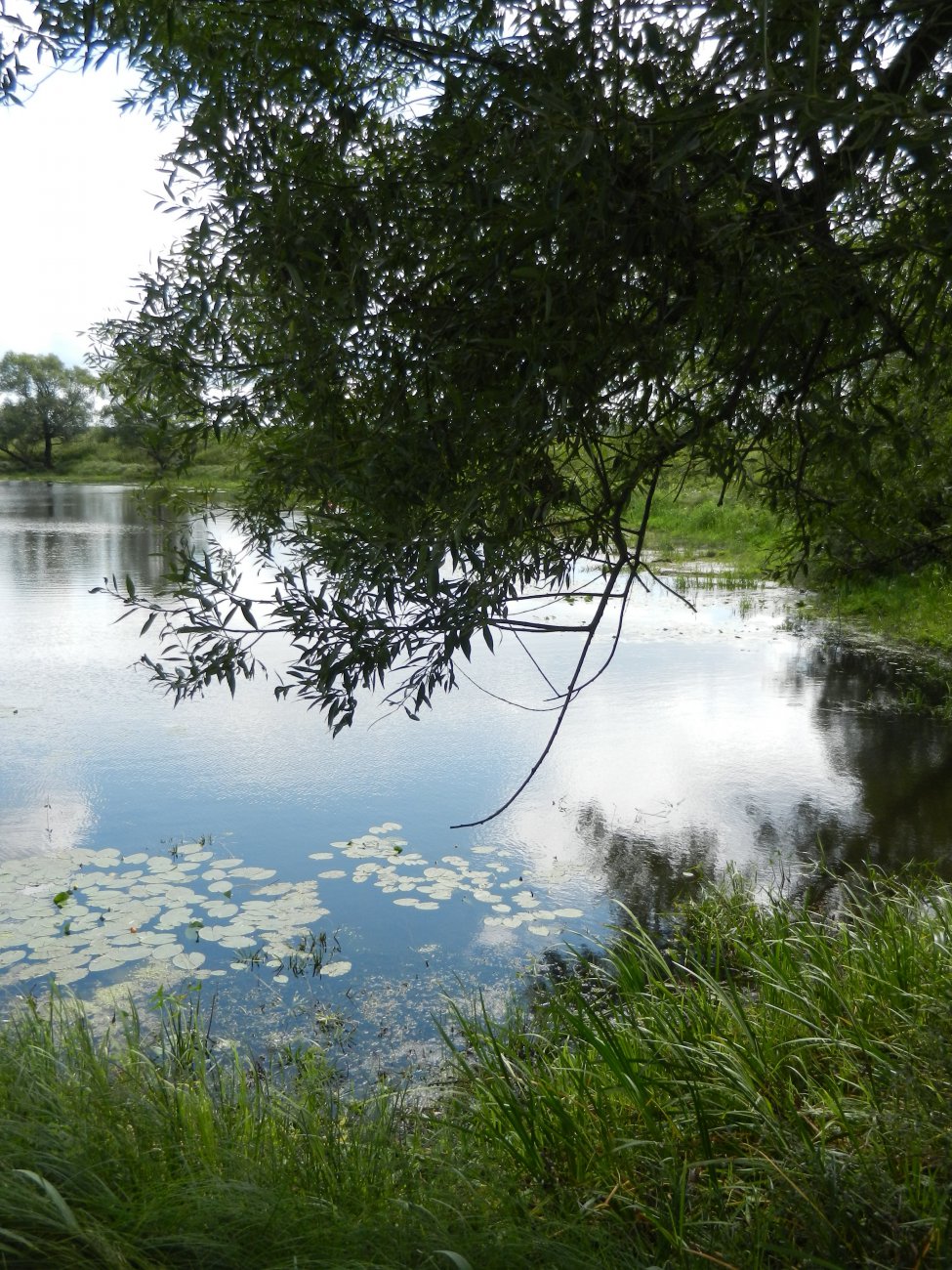 DSCN9800.JPG