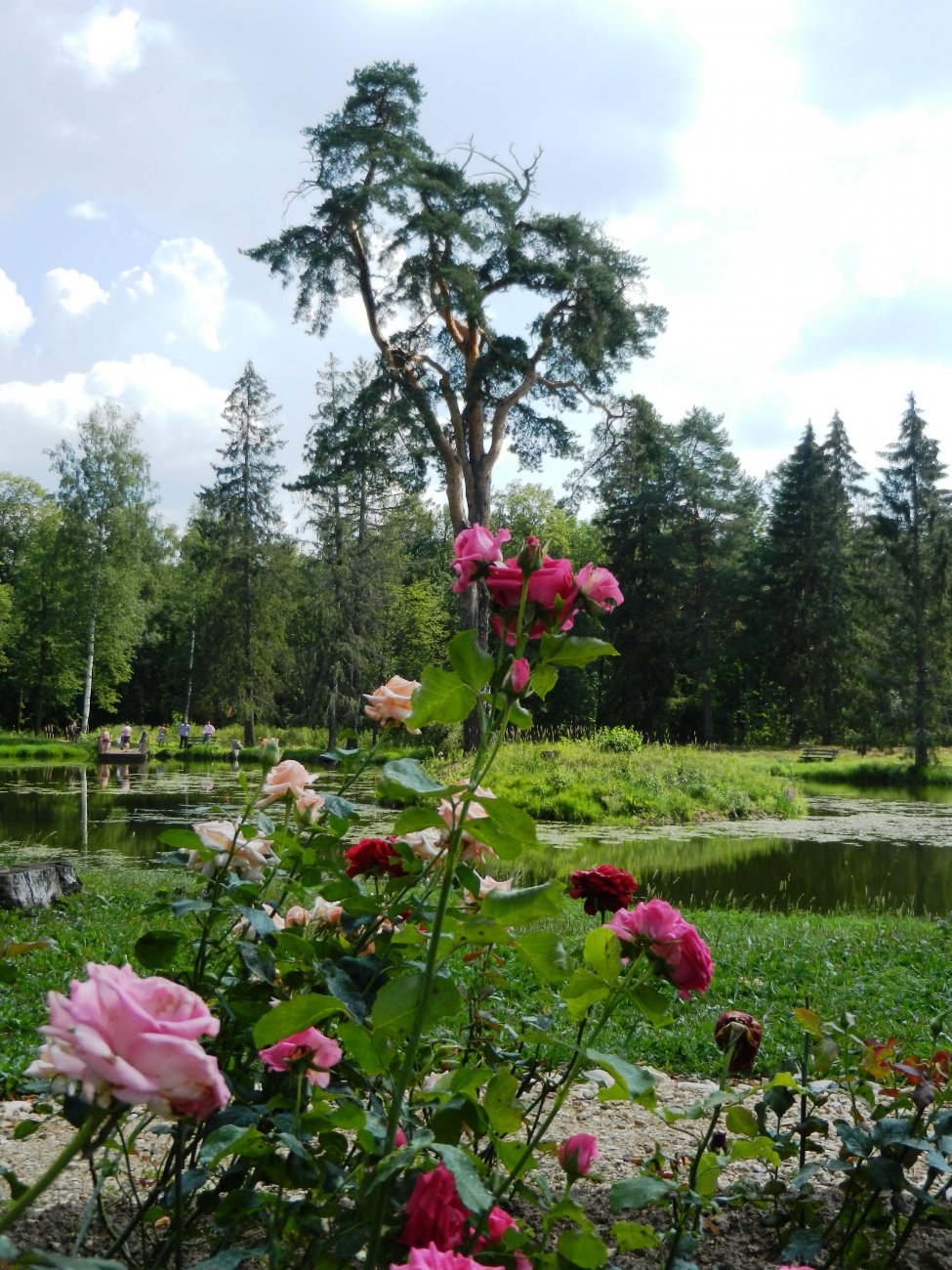 DSCN9854.JPG