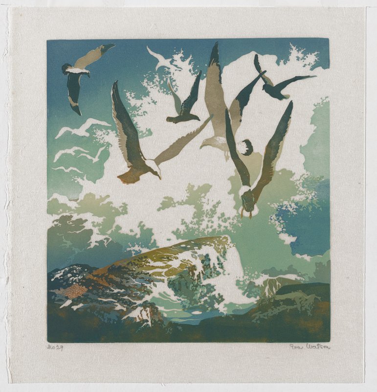 eawatson-gulls-and-spray.jpg