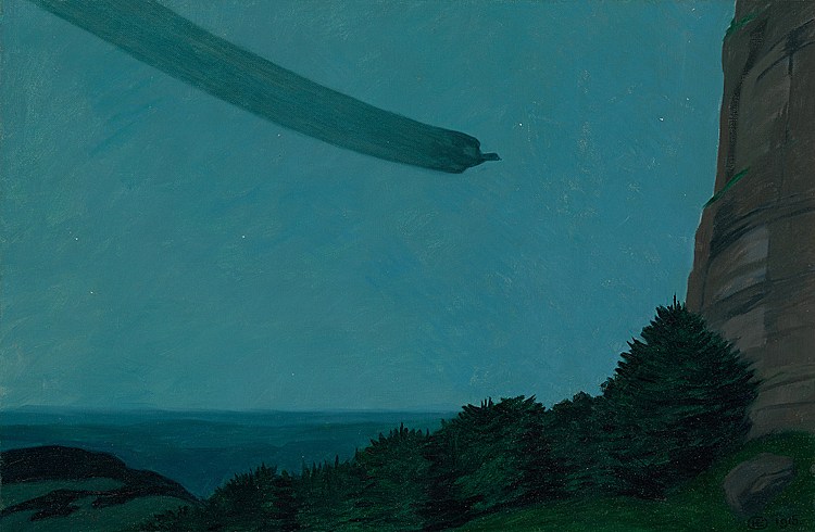 Emmenegger_Spielhahn_im_Gleitflug_1915.jpg