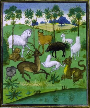 faune-et-floreLe Livre des propriеtеs des choses.jpeg