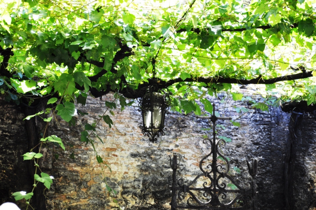garden04.jpg