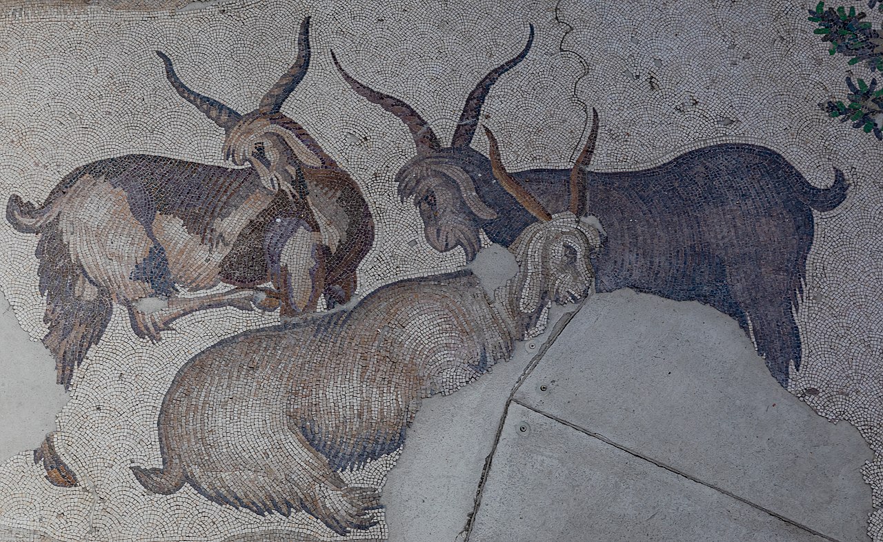 Great_Palace_Mosaics_Museum,_Istanbul_(52131978775).jpg