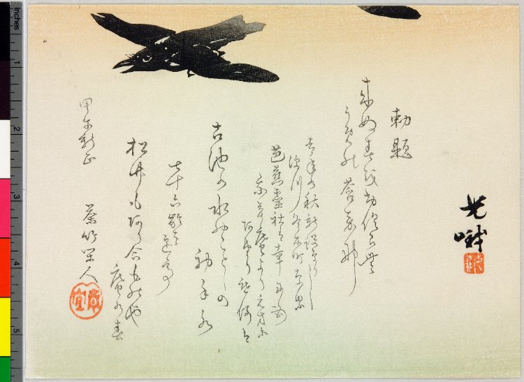 Iijima KogaAN00430523_001_l.jpg