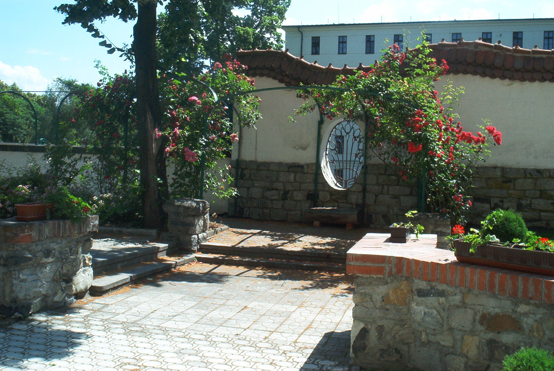 IM008289.jpg