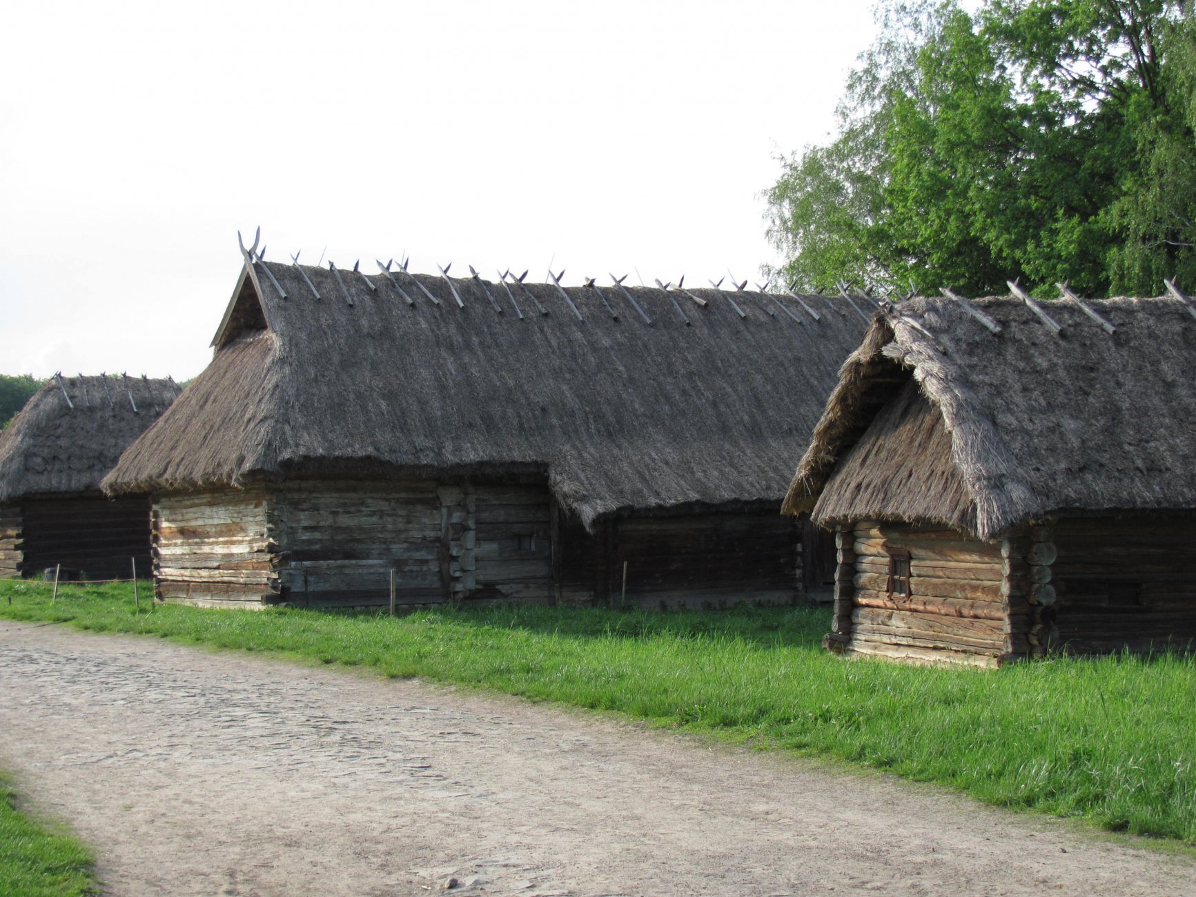 IMG_1612.JPG