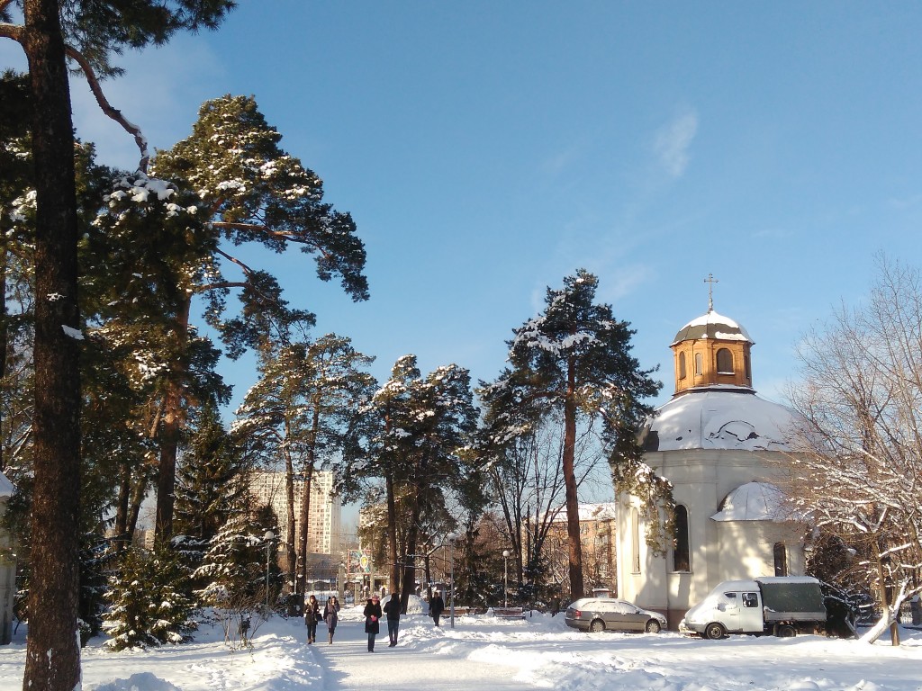 IMG_20161204_095605.jpg