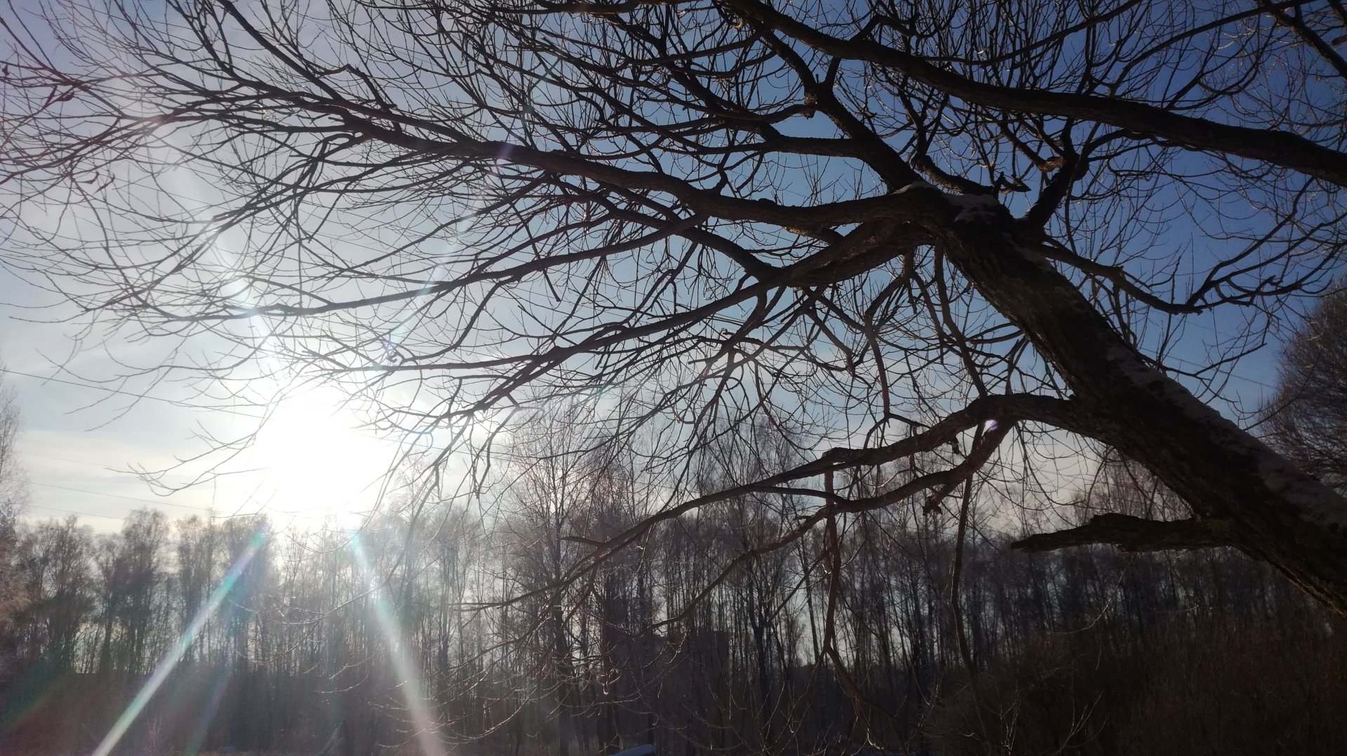 IMG_20190123_122240.jpg