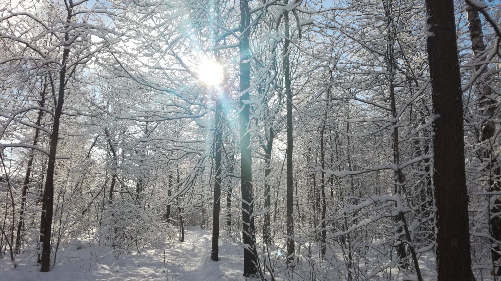 IMG_20190214_115650.jpg