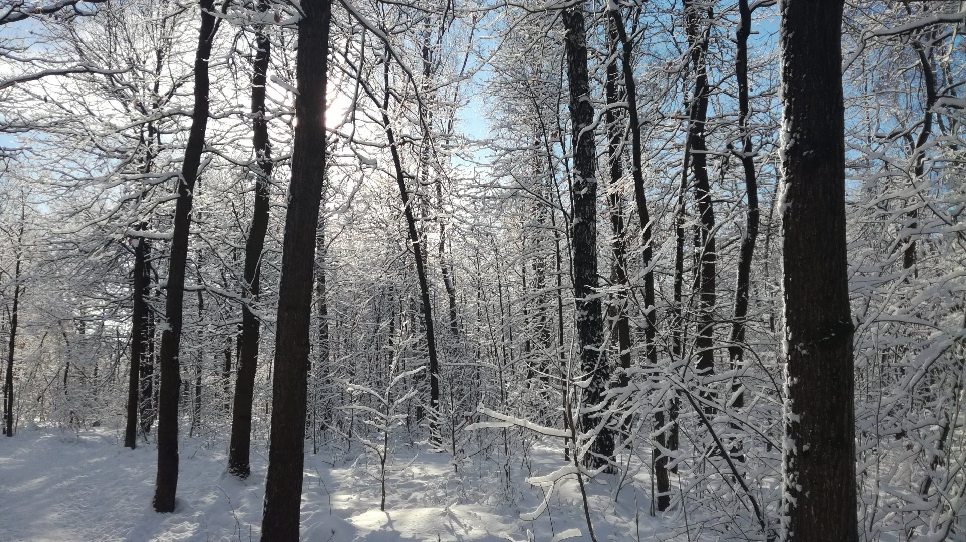 IMG_20190214_115824.jpg