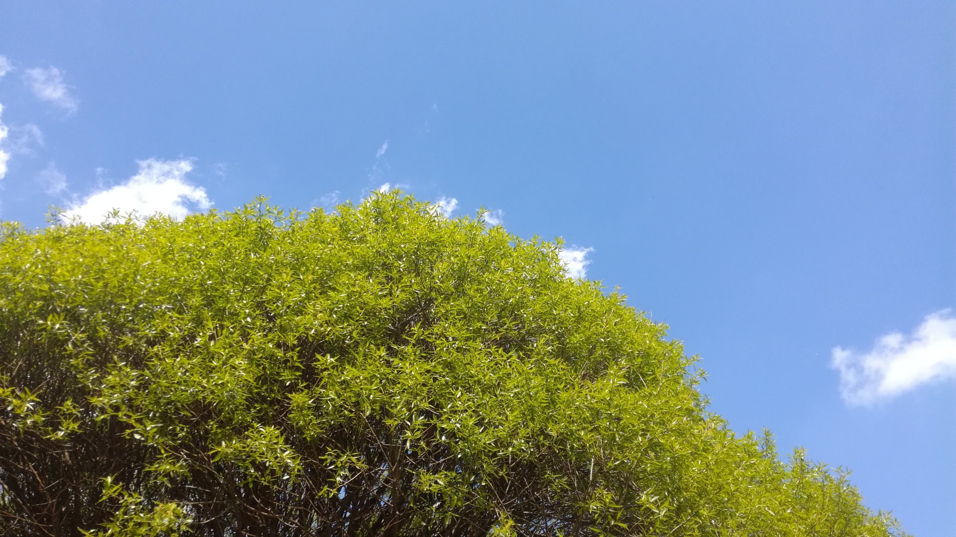 IMG_20190506_112026.jpg