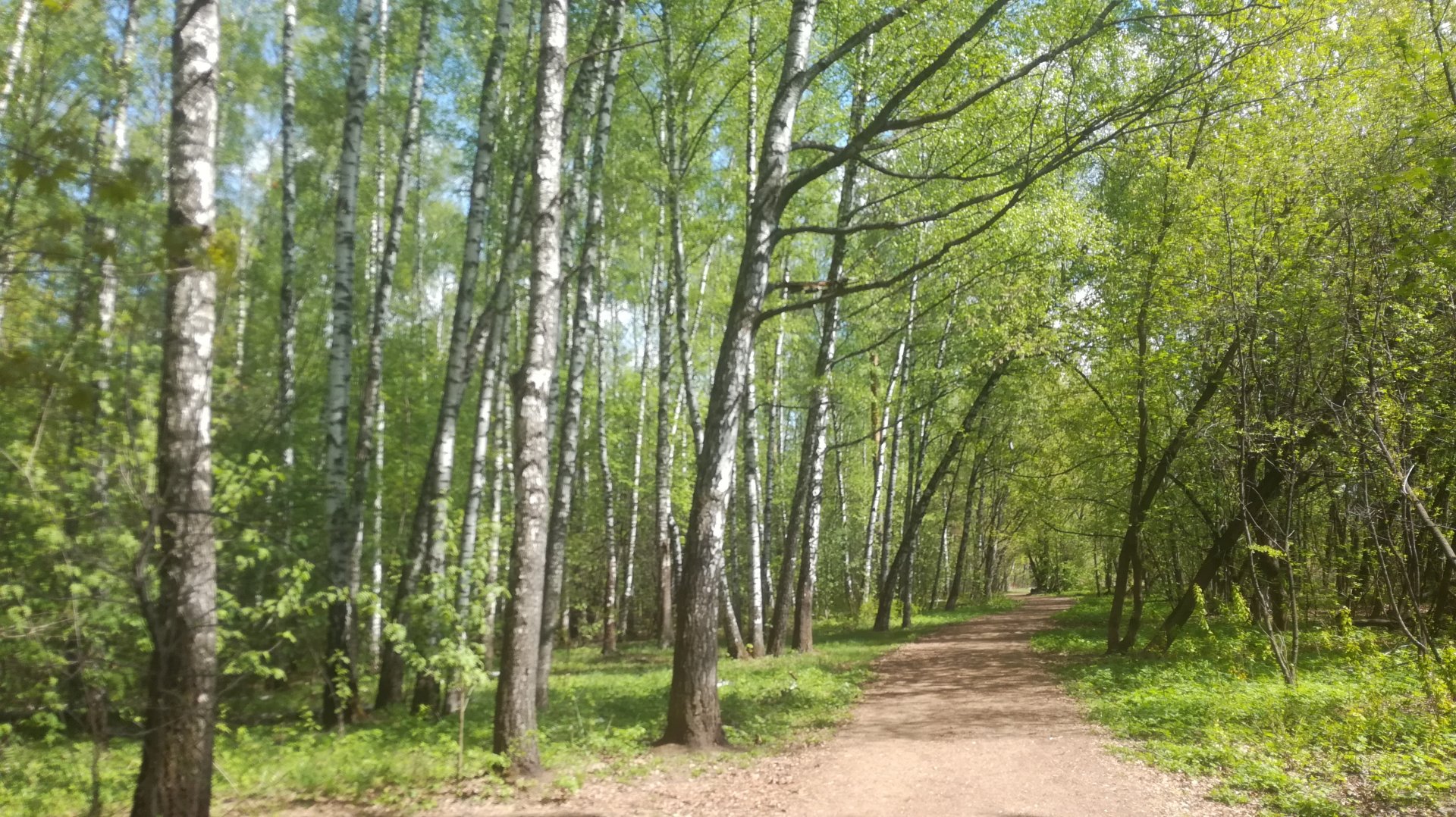IMG_20190506_114544.jpg