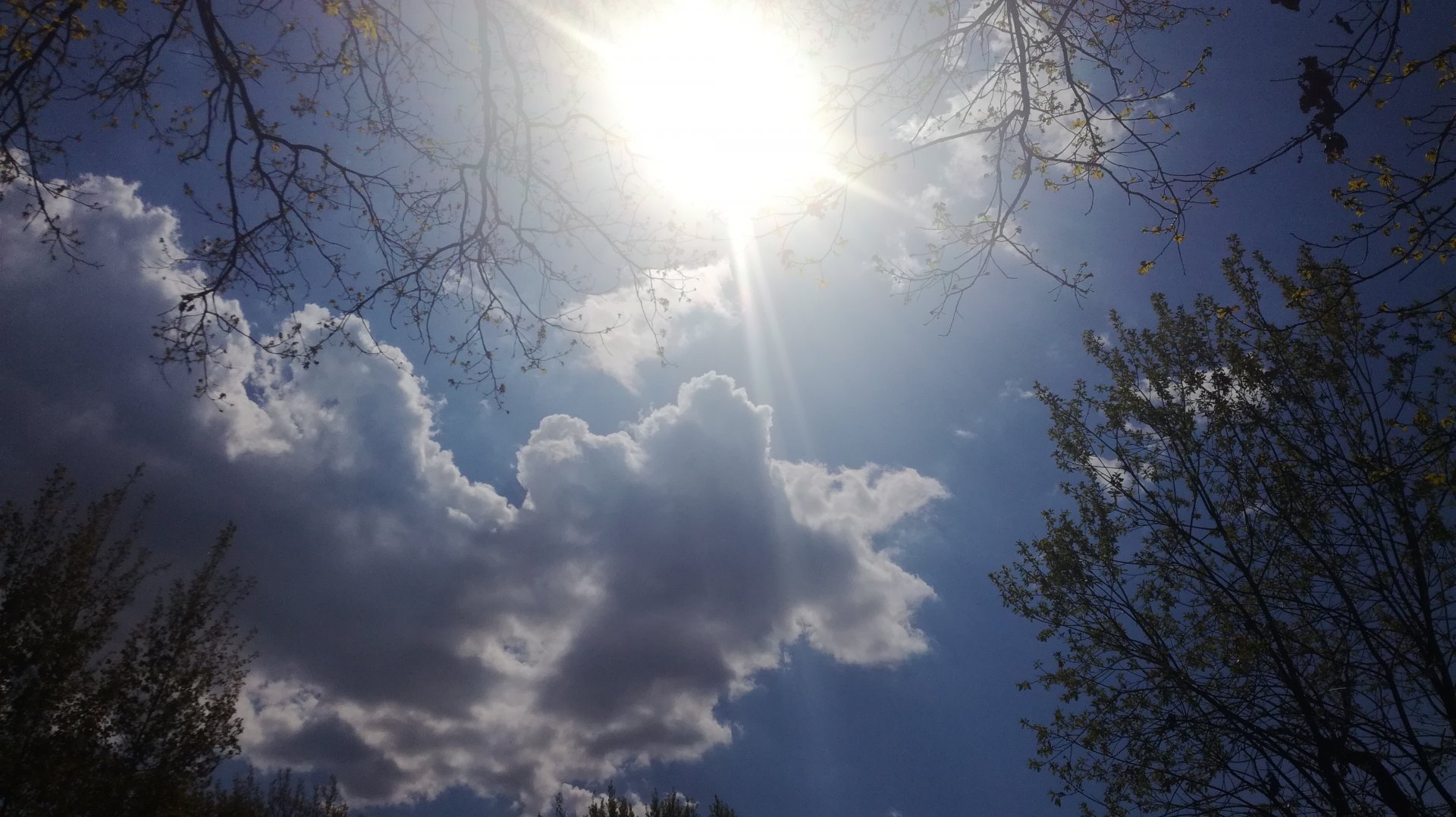 IMG_20190506_120151.jpg