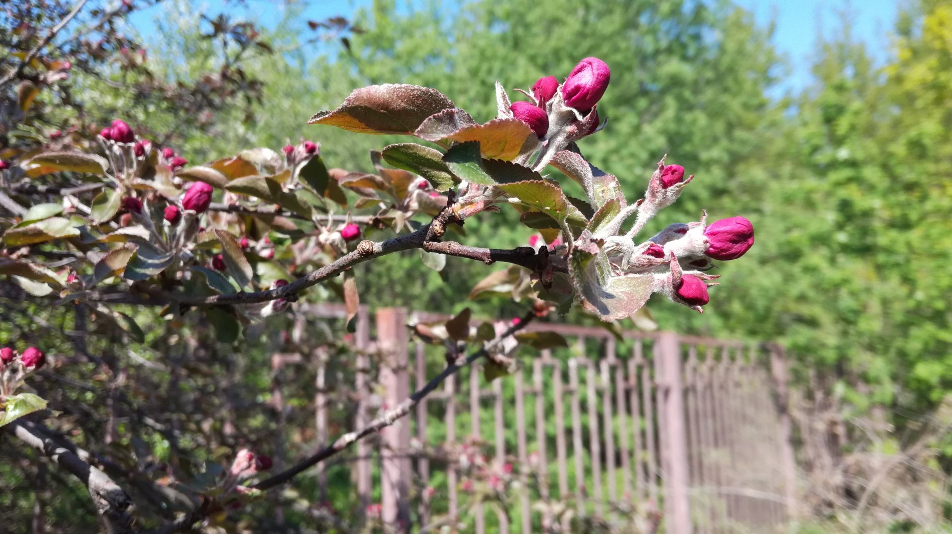 IMG_20190507_103341.jpg