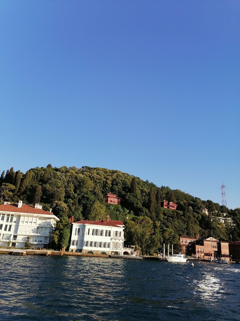IMG_20220716_192537.jpg