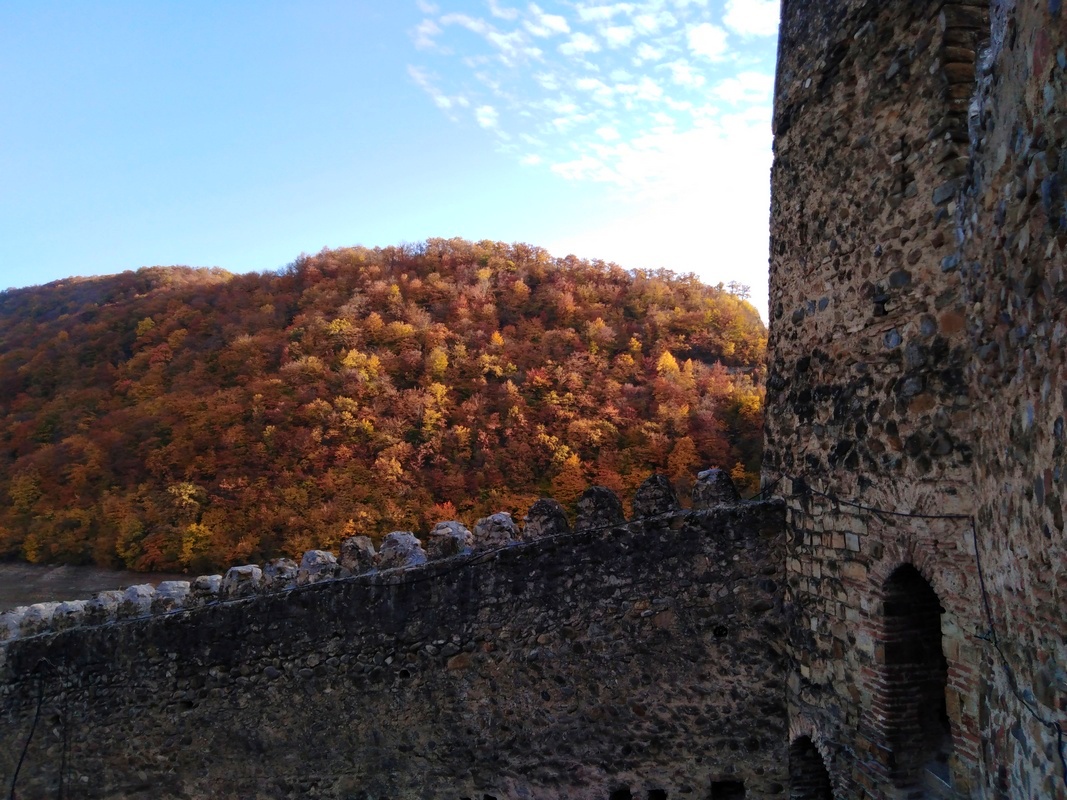 IMG_20231023_163214а.jpg