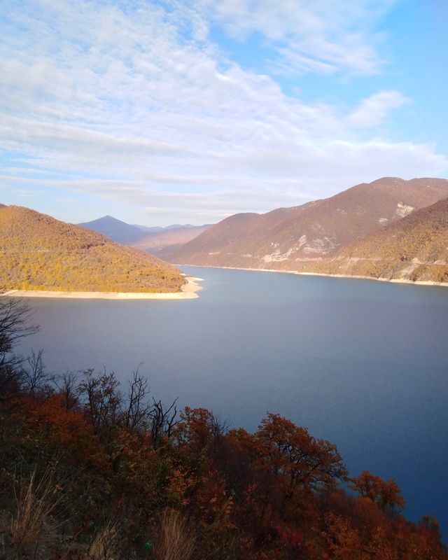 IMG_20231023_165415.jpg