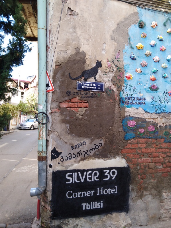 IMG_20231024_124903в.jpg