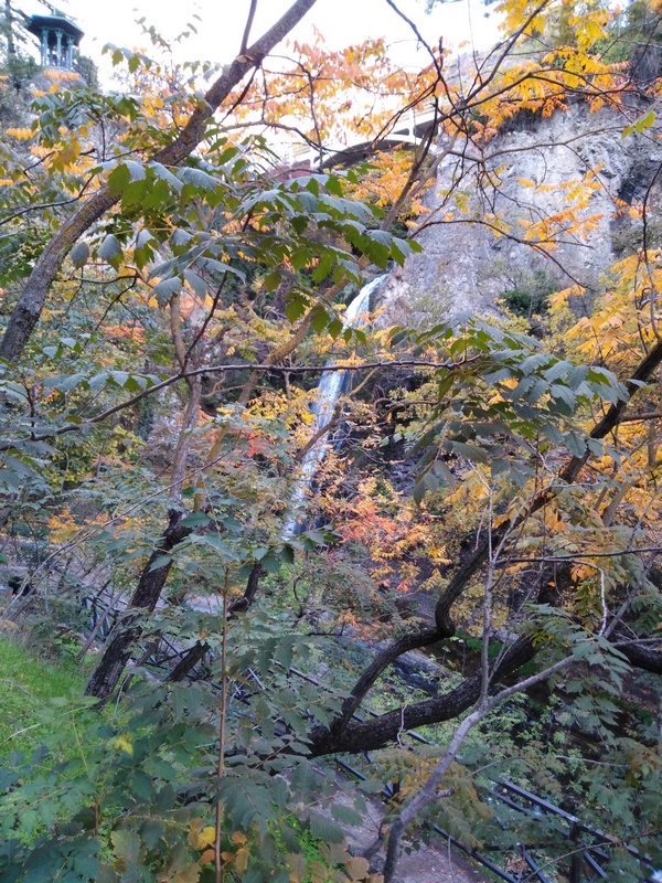 IMG_20231024_171008п.jpg