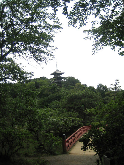 IMG_9764.JPG