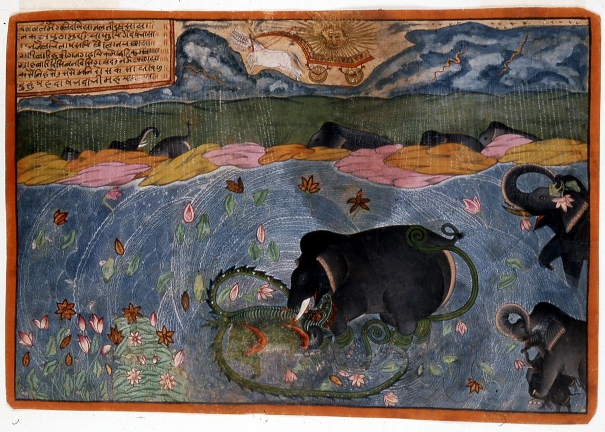 Indian_-_The_Elephant_King_Attacked_.jpg