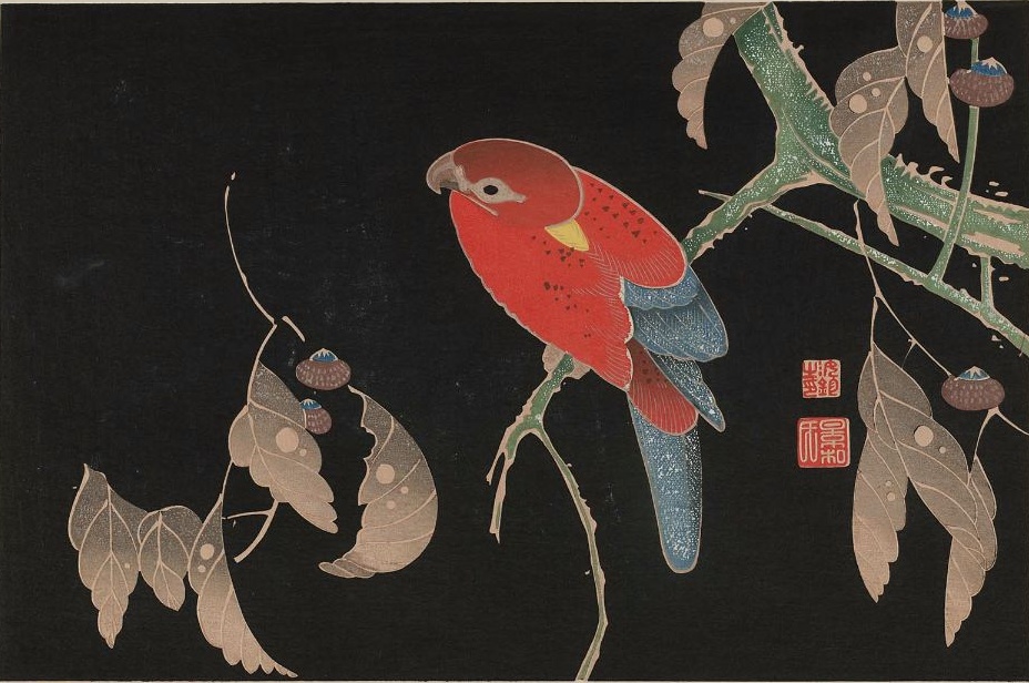 Ishizuri-Jakucho.jpg