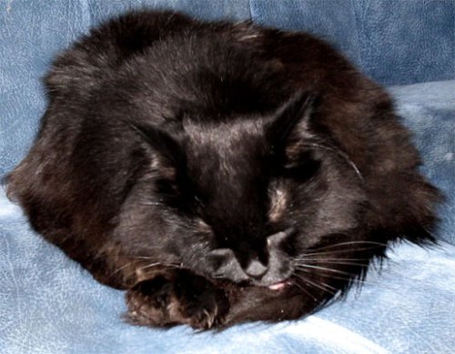 jjh_567.jpg