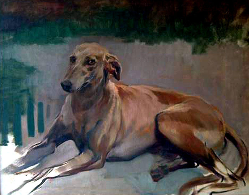 Julio-Vila-Prades-Julio-Vila-Prades-perro.jpg
