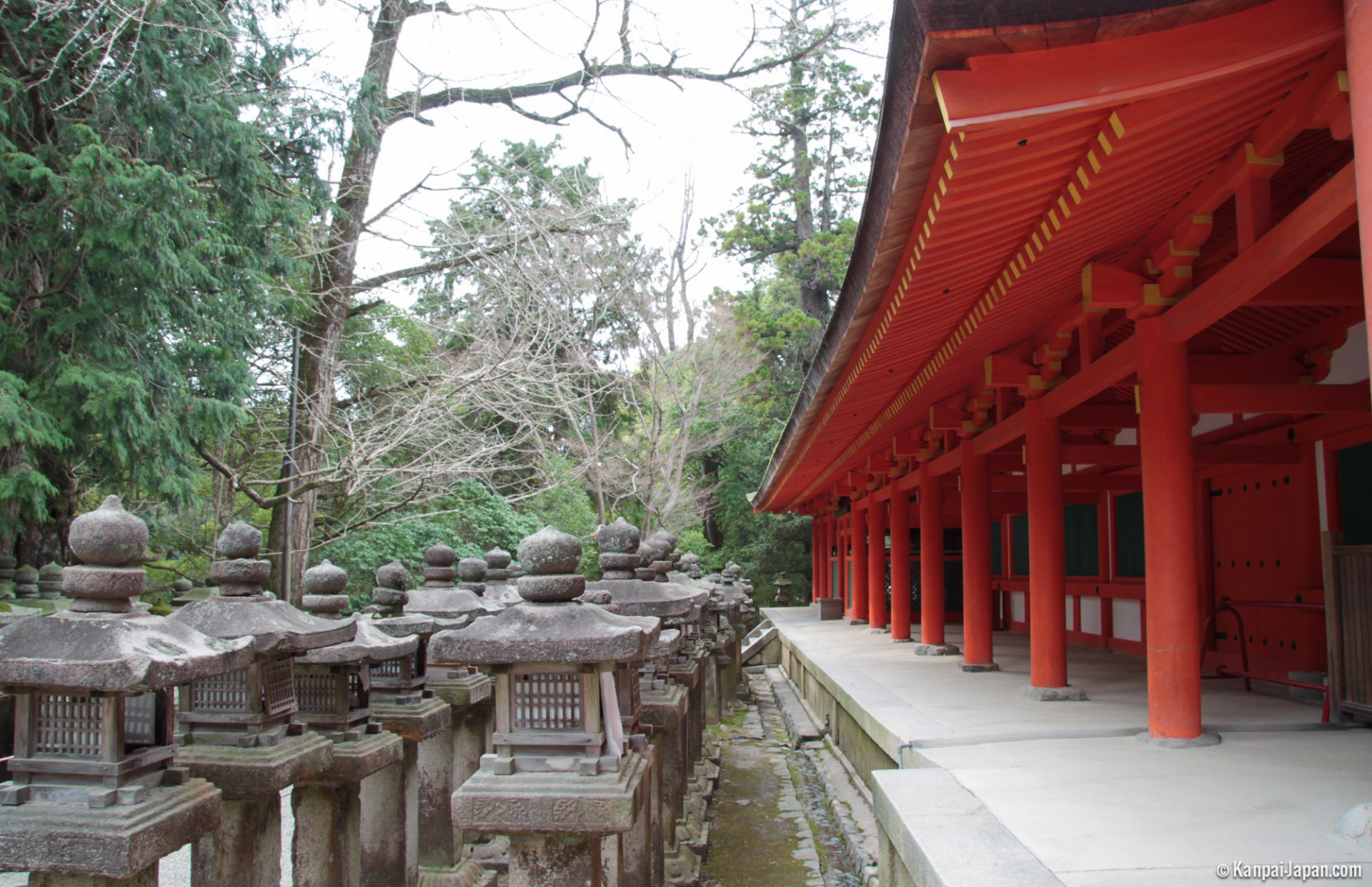 kasuga-taisha-nara-12.jpg