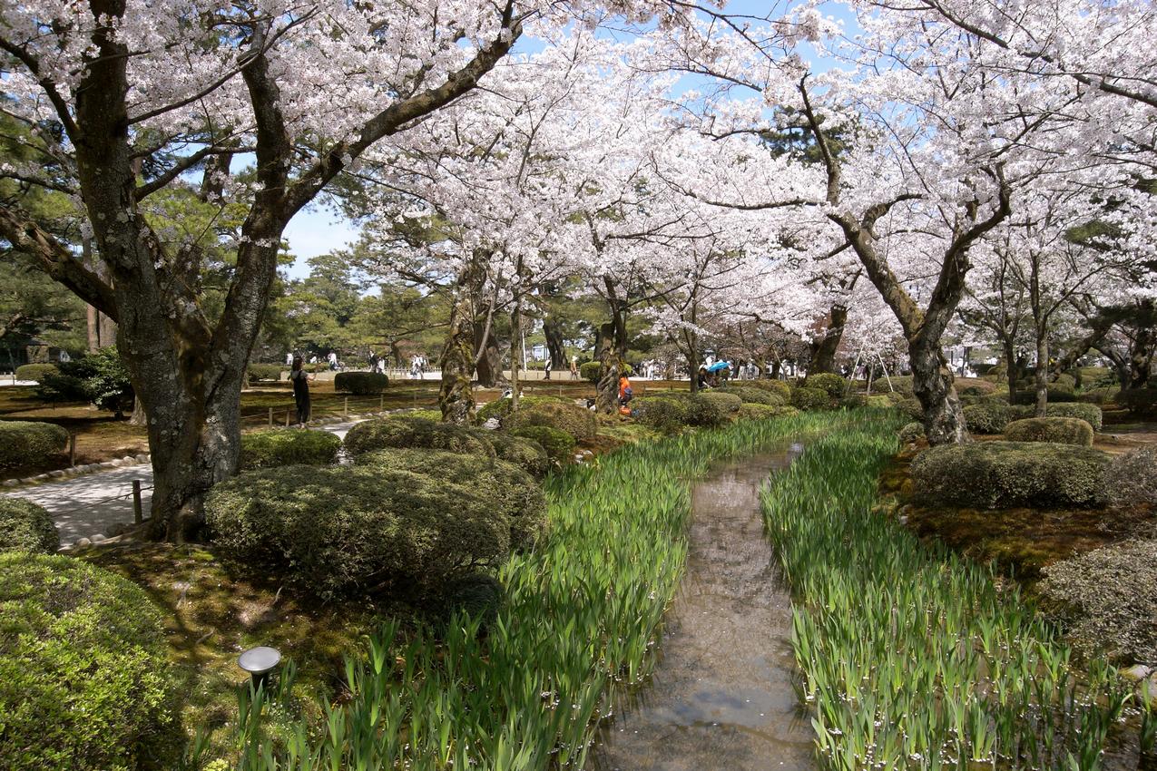 Kenroku-en (79)h.jpg
