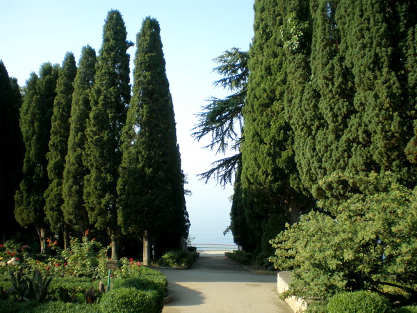kkkd20130905b11.jpg