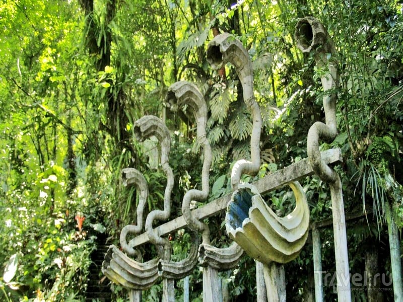 las_pozas_xilitla_15.jpg