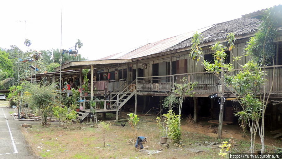 Long-House-dayakov.jpg