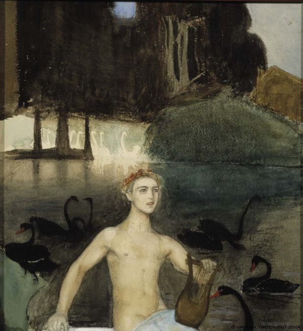 Magnus Enckel_o_narcissus.jpeg