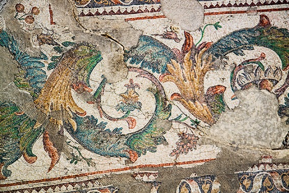Mosaic-Plants.jpg