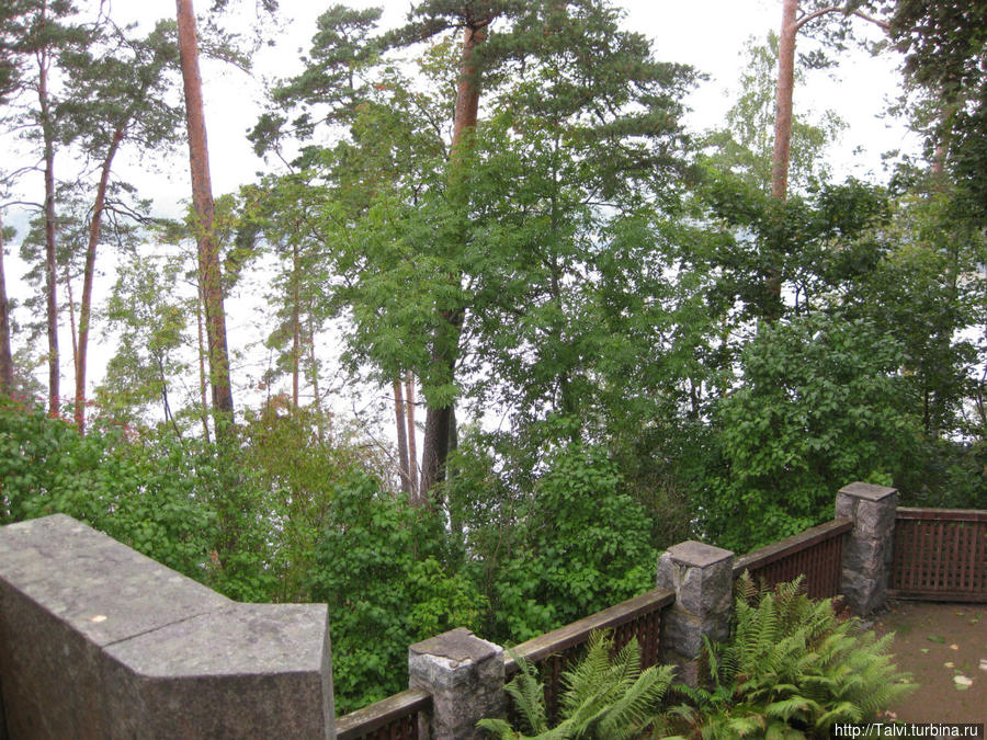 Muzey-usadba-Vittresk (5).jpg