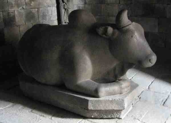 Nandi90_4_4.jpg