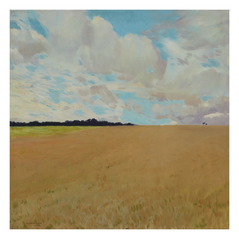 OPEN_FIELDS_UNDER_A_CLOUDY_SKY).jpg