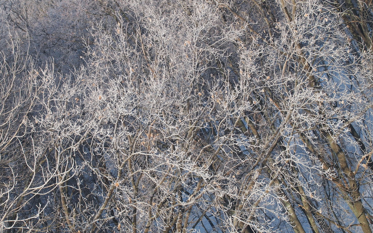 P0015537-2.jpg
