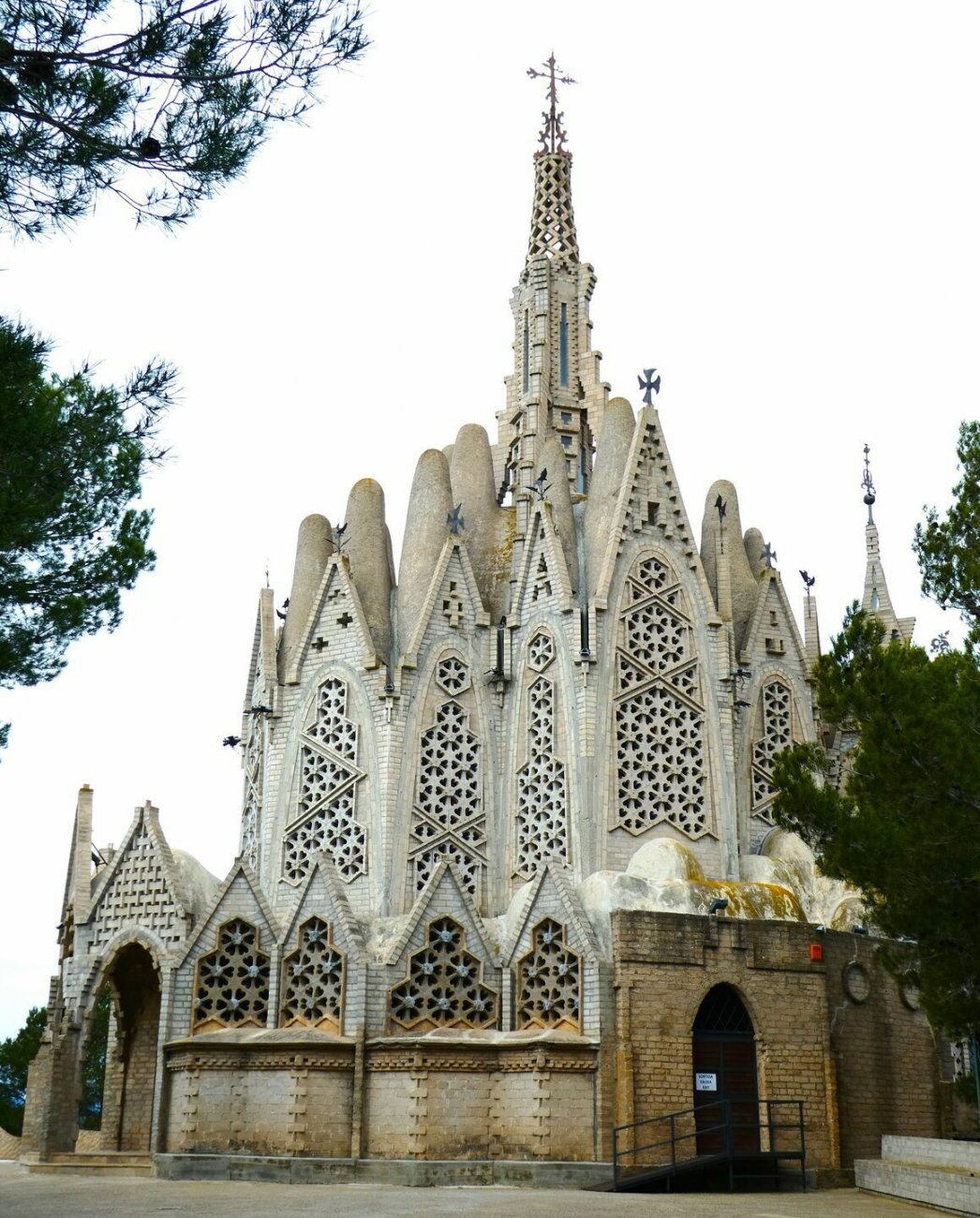 P1000233.jpg