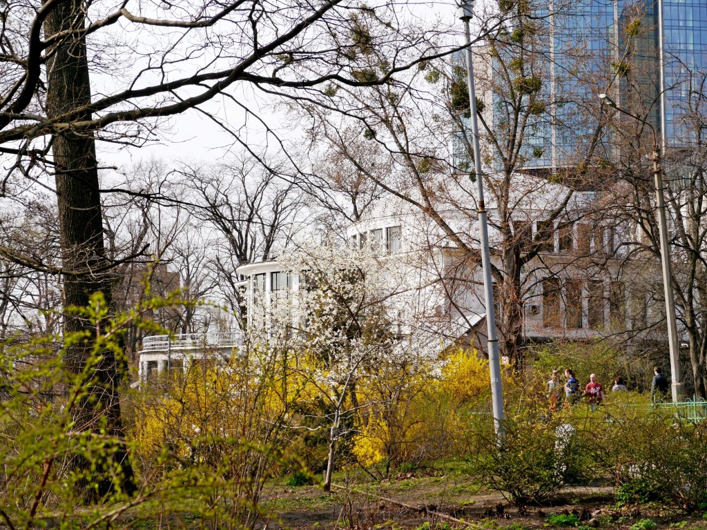 P1010763.jpg