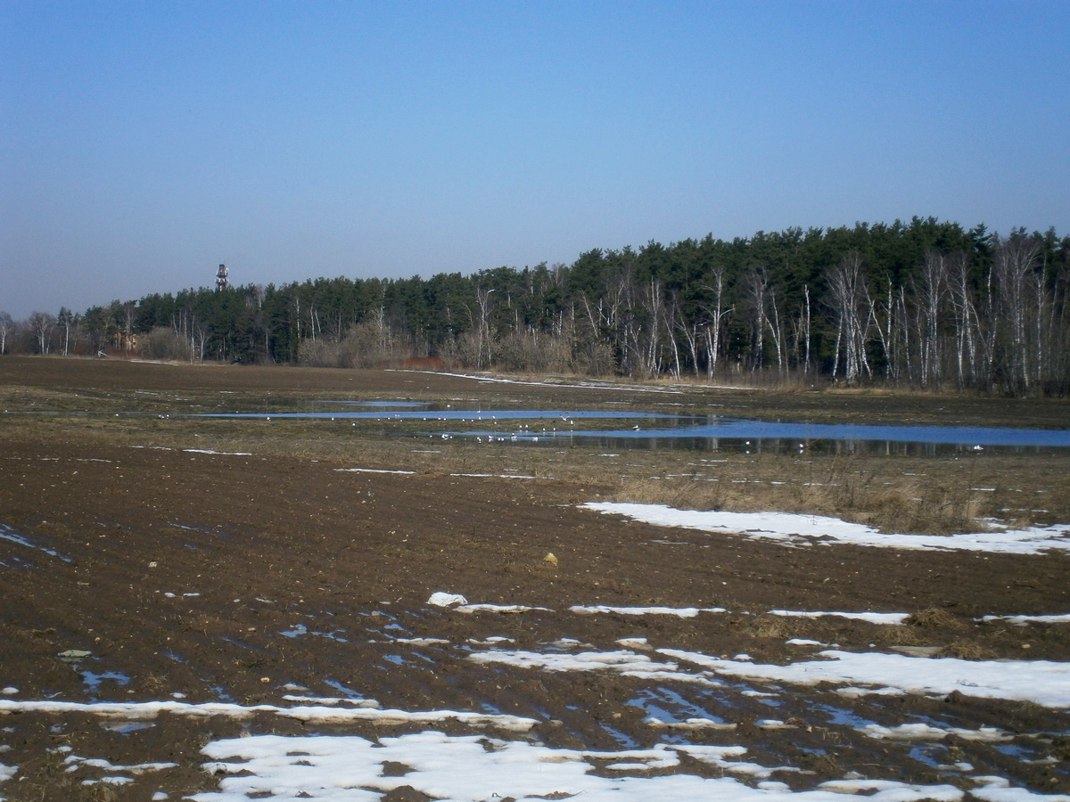 P1104063а.jpg