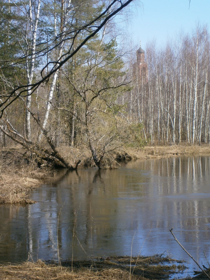 P1125004.JPG